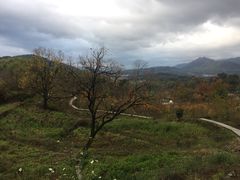 -塔川景区