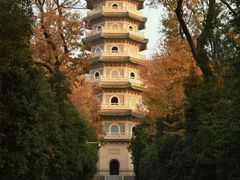 -灵谷景区