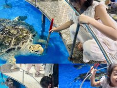 -泉城欧乐堡海洋极地世界