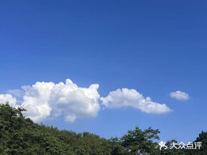 雅鲁激流探险漂流图片