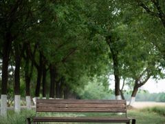 -汉长安城未央宫国家考古遗址公园