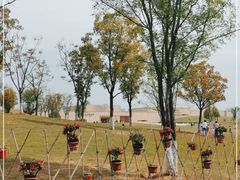 -盘龙城国家考古遗址公园