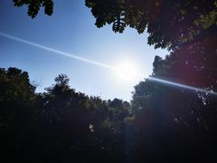 -火炉山森林公园