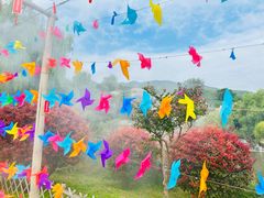 -北京西山国家森林公园