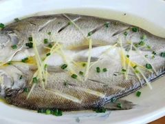 清蒸白鱼-品鲜村农家菜·阳澄湖大闸蟹(总店)