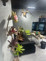 -極致刺青TATTOO STUDIO 私人订制