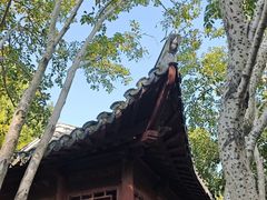 -秋霞圃