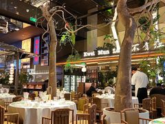 -桂满陇·海市蜃楼·黑金(国金店)