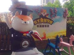 -柴犬高等学院·狗咖·柴犬售卖·宠物训练