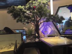 -绿茶餐厅(成都大悦城店)