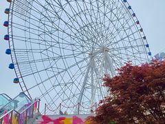 -南昌之星摩天轮