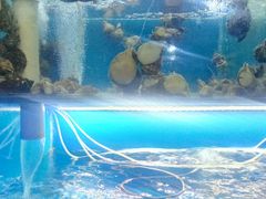 -前王院•巧克力海鲜市集餐厅(万平口店)