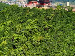 -黄贤森林公园