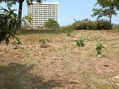 -广西壮族自治区药用植物园