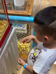 -宝燕乐园(闵行旗舰店)