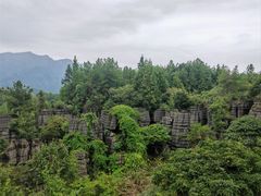 -梭布垭石林景区