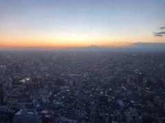-东京都厅舍