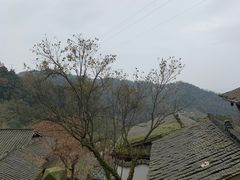 -老号尤兔头(幸福店)