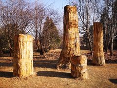 -国家植物园南园