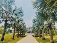 -三亚海昌梦幻海洋不夜城