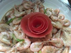 -葱妈母婴医护月嫂中心(浦东店)