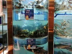 -香坝坝鲜鱼火锅(春熙路店)