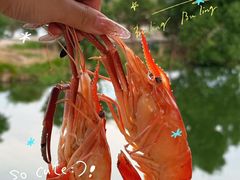 -七的湖·晚芳亭·阳澄湖农家菜·大闸蟹(莲花岛店)