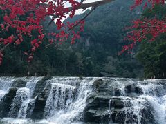 -刘伯温故里景区百丈漈