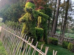 -上海长兴岛郊野公园