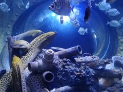 -成都浩海立方海洋公园