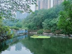 -重庆彩云湖湿地公园