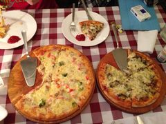 -百好乐宠物友好餐厅(朝外大街店)