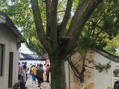-丝绸小镇荻港古村