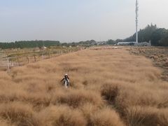 -嘉北郊野公园