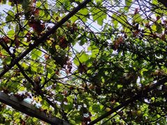 -伊隆斋(什刹海店)