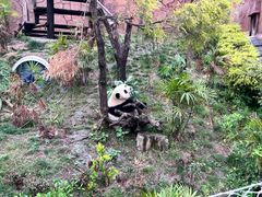 -乐和乐都主题乐园