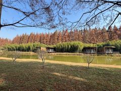 -黄海国家森林公园