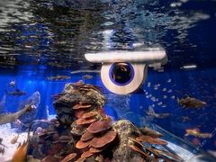 -成都浩海立方海洋公园