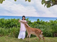 -三亚亚龙湾天域度假酒店