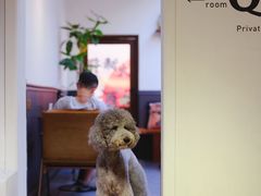 -沏点Trattoria意大利餐厅(新街口店)