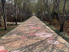 -洛阳市隋唐城遗址植物园