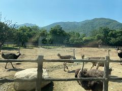 -西安秦岭野生动物园