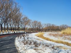 -大兴滨河森林公园