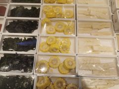 -串一火锅(赛格国际购物中心店)