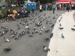 -加泰罗尼亚广场