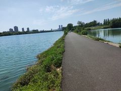 -金银湖国家城市湿地公园