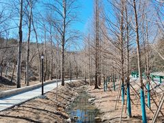 -白水寺森林公园
