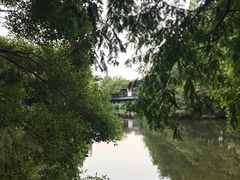 -西湖游船