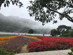 -广州市石门国家森林公园