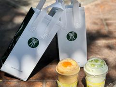 -茉酸奶(春熙路店)